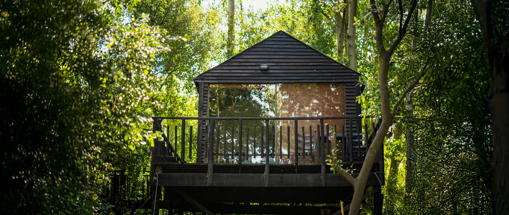 Tree Top Cabins